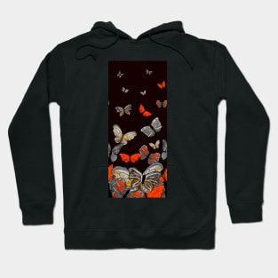 Butterfly Cascade Orange and Grey Colors Hoodie